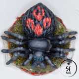 cave-spiders_06