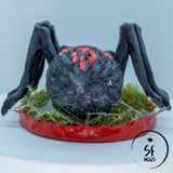 cave-spiders_04